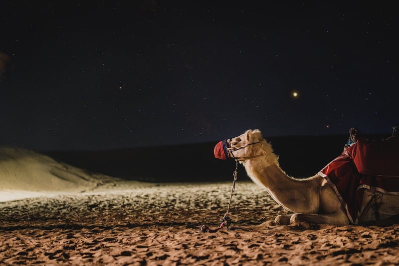 Arabian Desert
